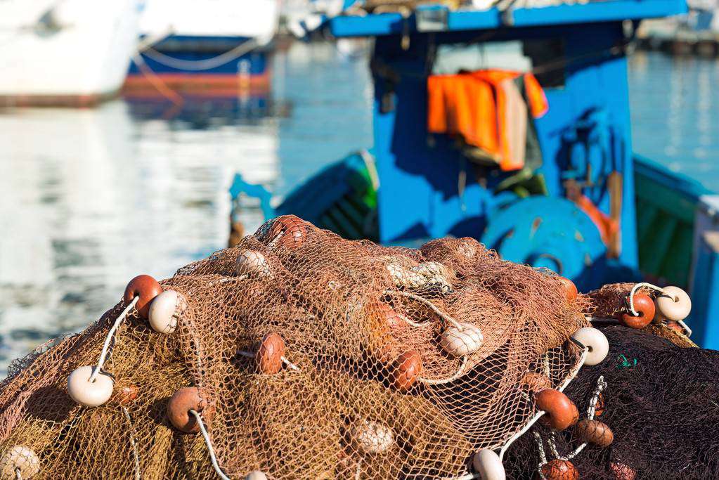 1567675189955674.jpg 1567675189955674.jpg