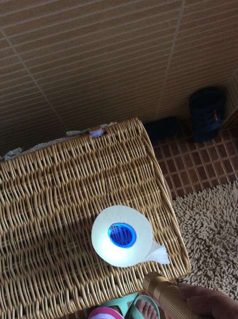 寶媽買了紫光手電,衣服上好多熒光劑,看的心慌害怕